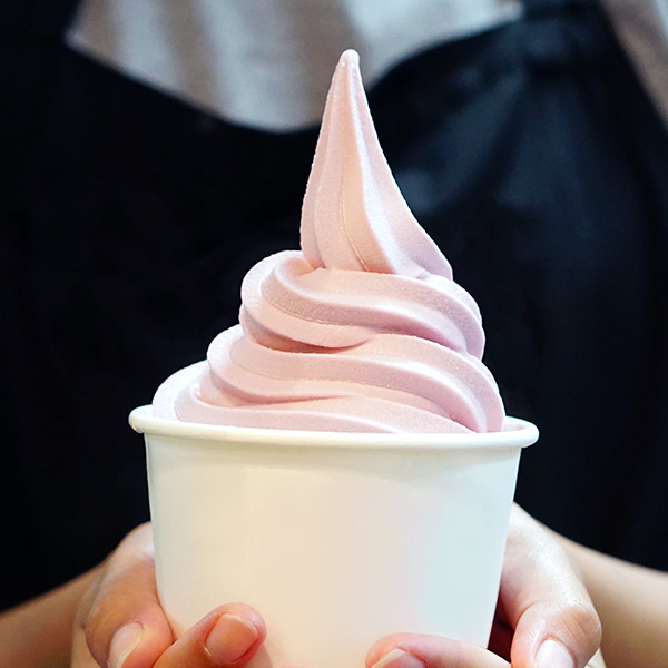 Máquina para helado soft y frozen yogurt Softgel 320 - 336- helado soft y frozen yogurt